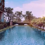 Lap Pool